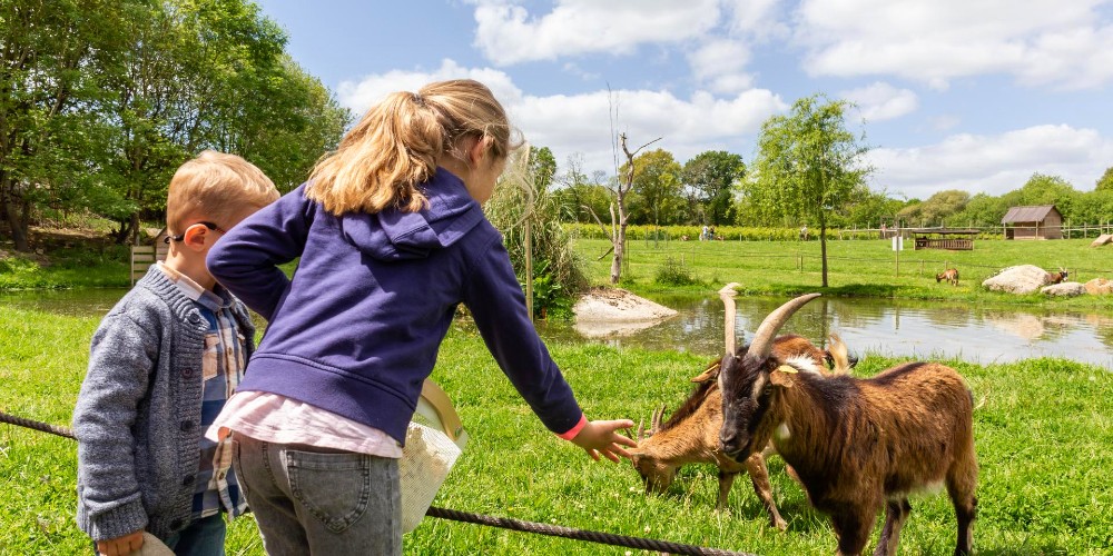 children-feeding-goats-aven-parc-farm-learning-credit-aven-parc-pont-aven-brittany-2022