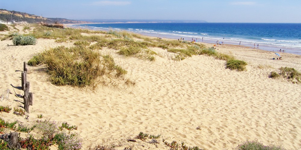 sand-dunes-atlantic-beaches-costa-caparica-near-lisbon-2022