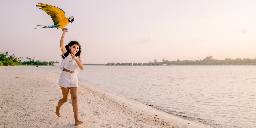 sun-siyam-olhuveli-resort-girl-on-beach-with-parrot