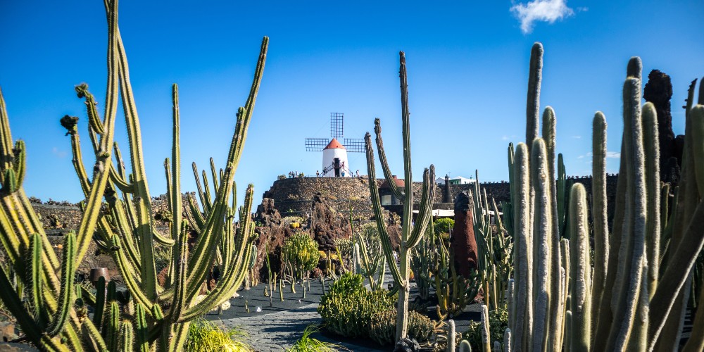 cesar-manrique-cactus-garden-windmill-lanzarote-canary-islands-spain