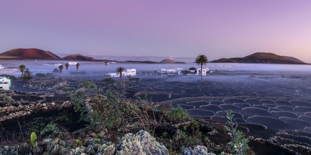 mist-over-volcanic-vineyards-lanzarote-canary-islands-spain