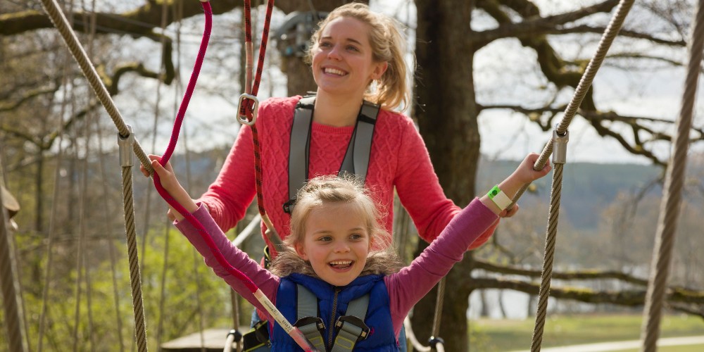 family-tree-top-adventure-park-cumbria
