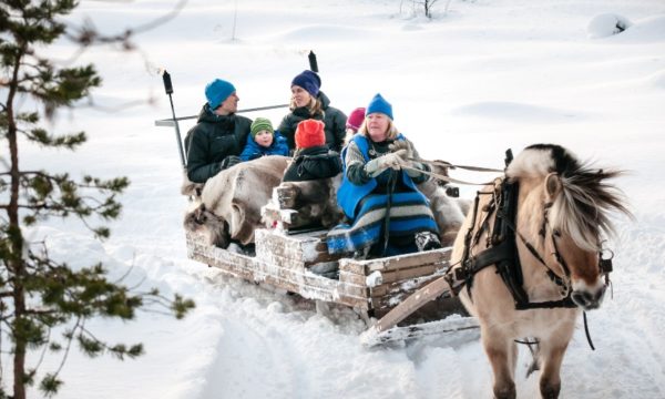horse-drawn-sleigh-norwegian-ski-holidays-ski-solutions