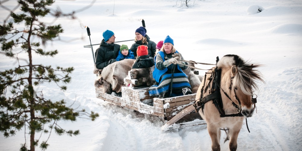 horse-drawn-sleigh-norwegian-ski-holidays-ski-solutions