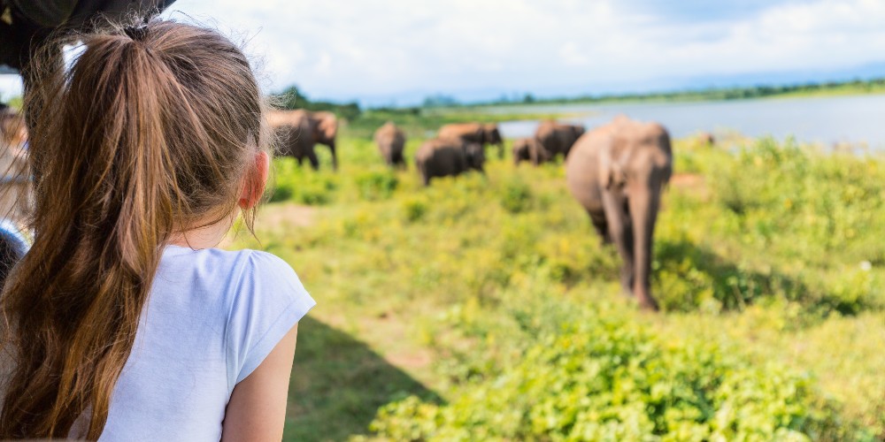 girl-game-drive-south-africa-elephants-scott-dunn