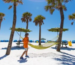 clearwater-beach-hammocks-palm-trees-kids-florida-holidays