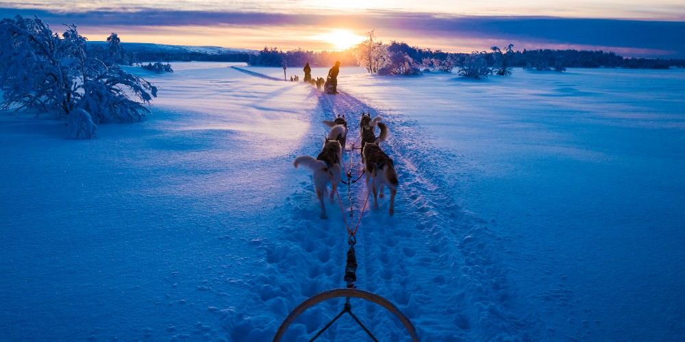 hetta-huskies-finnish-lapland-visit-finland-k-chae