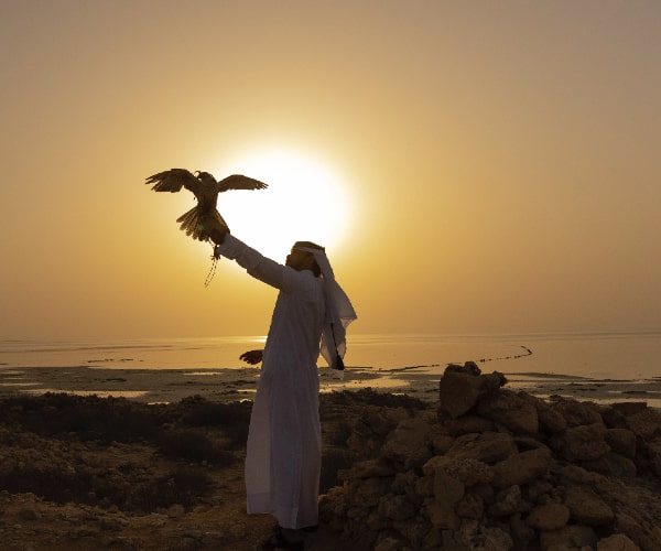 man with falcon Qatar holiday