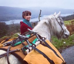 fell-pony-adventures-grizedale-forest-lake-district-fun-family-day-out