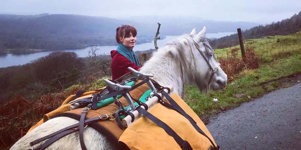 fell-pony-adventures-grizedale-forest-lake-district-fun-family-day-out
