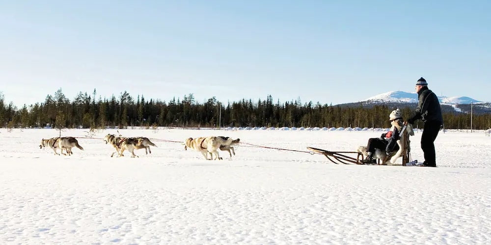 Husky sledding TUI Lapland holidays 2023