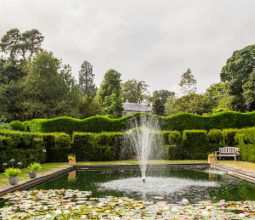 topiary-garden-lily-pond-glanton-pyke-estate-northumberland