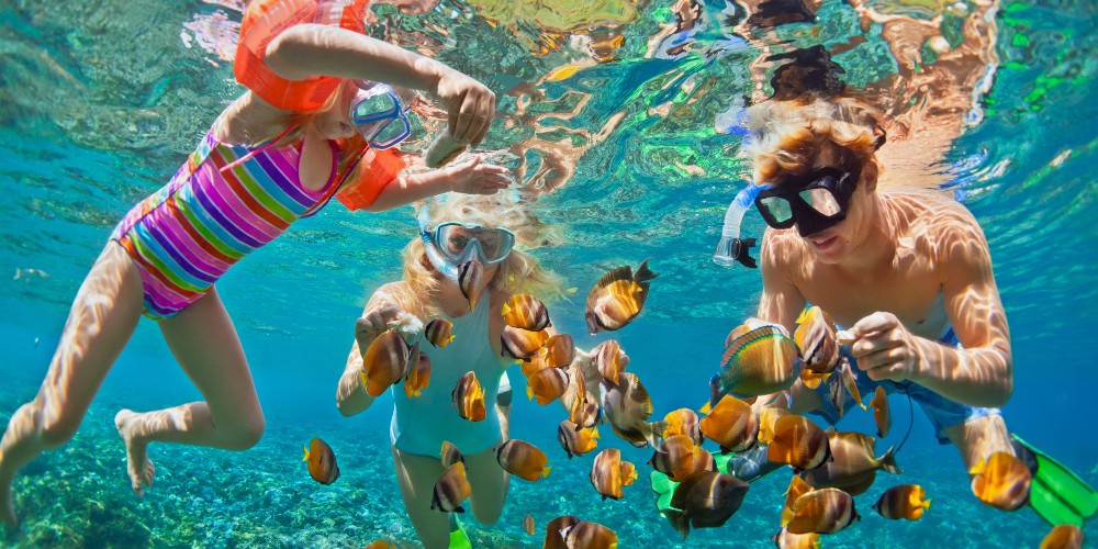 family-snorkelling-with-tropical-fish-tripbeat-discount-travel