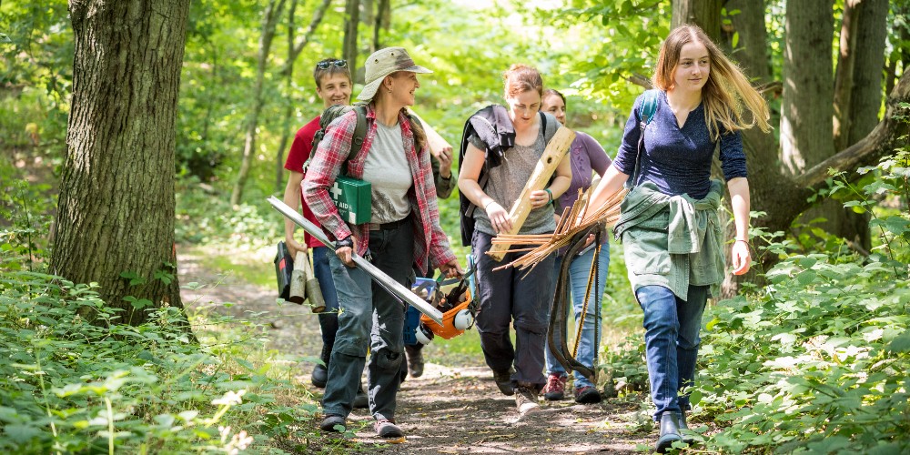 medway-valley-countryside-partnership-teenagers-woodland-conservation-experience