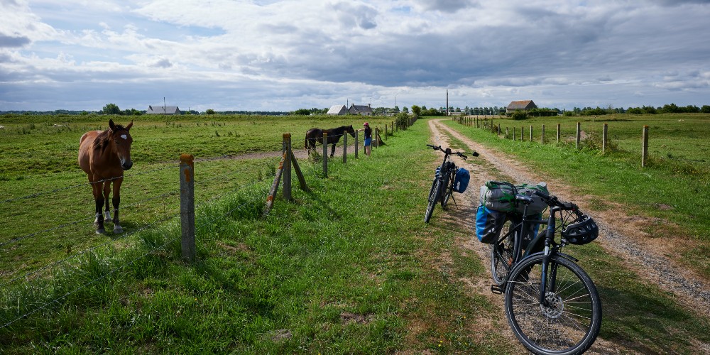 rural-cycling-horses-bike-trails-velomaritime-northern-france