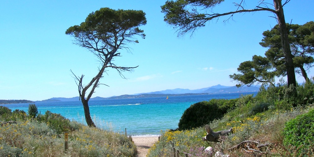 beach-parasol-pines-les-porquerolles-provence-south-of-france