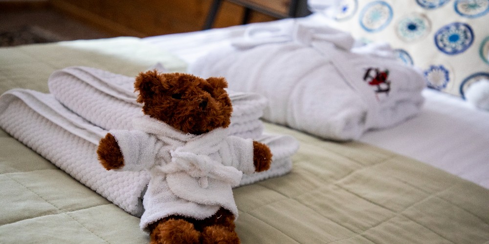 chilly-powder-hotel-teddy-bear-on-bed