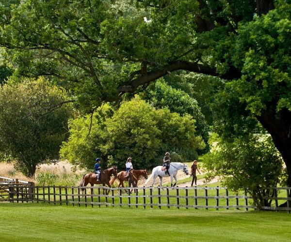 family-horse-riding-coworth-park-hotel-ascot-summer