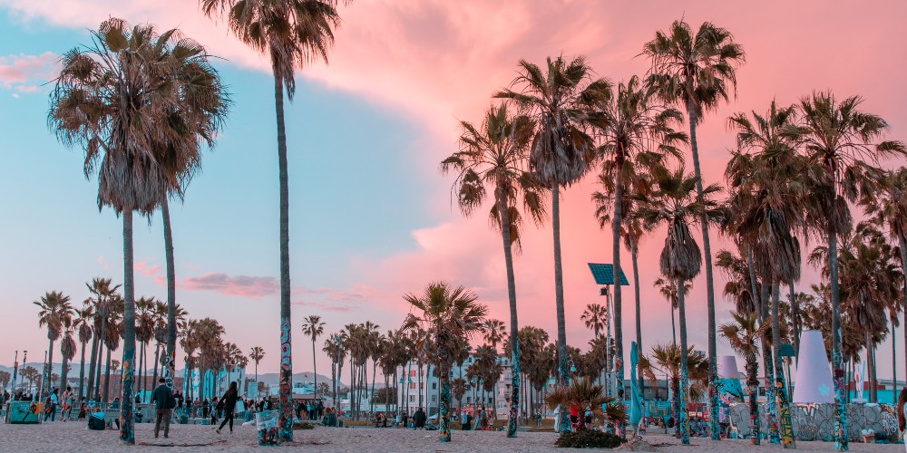 barbie-pink-sunset-venice-beach-california