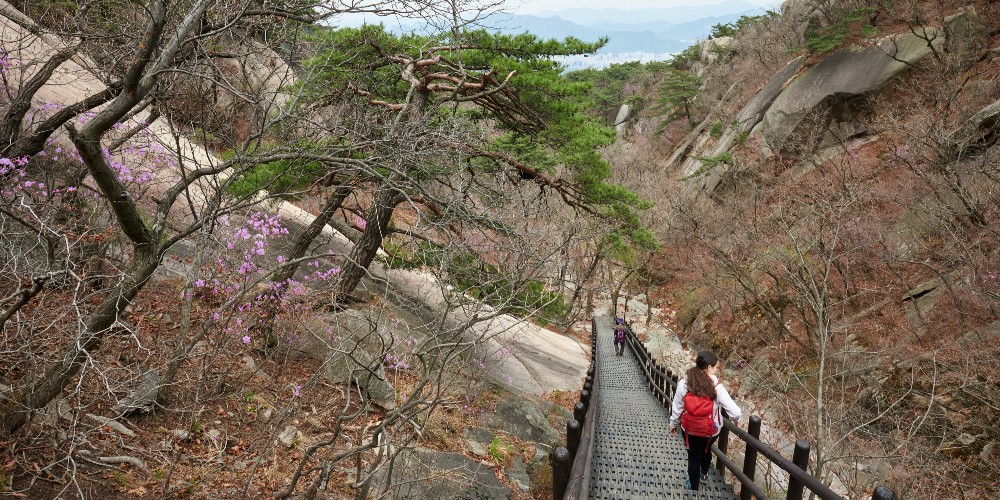 hiking-bukhansan-national-park-seoul