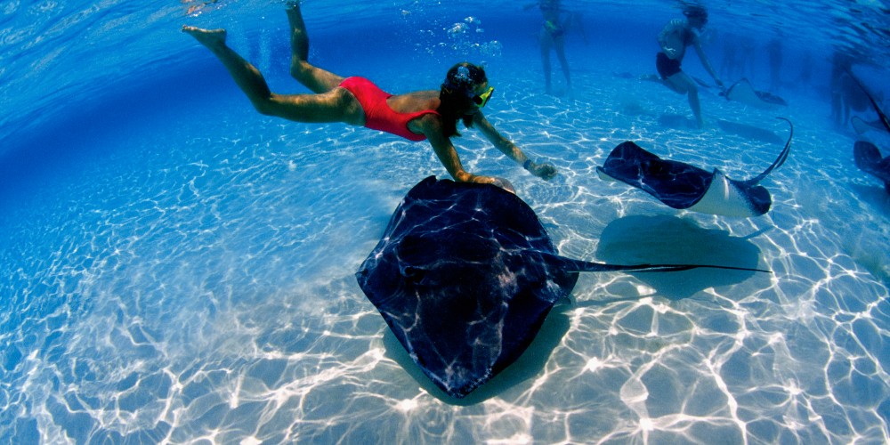 snorkelling-with-stingrays-grand-cayman