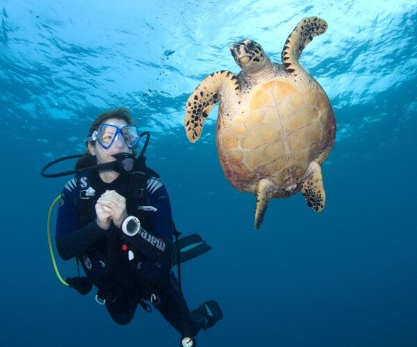 teenager-diving-with-sea-turtle-conrad-rangali-resort