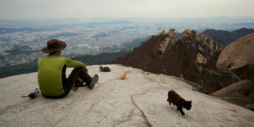 view-from-summit-hiking-bukhansan-national-park-seoul