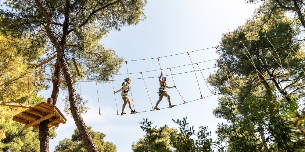 rope-bridge-treetop-adventure-park