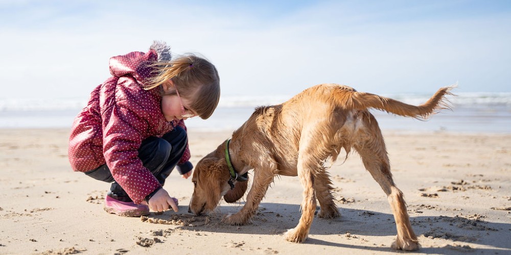 child-playing-with-dog-on-beach-the-park-cornwall