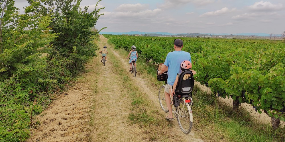 family-cycling-through-vineyards-france