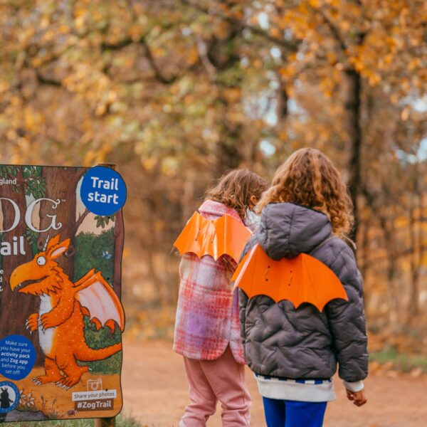 zog-trail-free-things-to-do-forest-of-dean-half-term