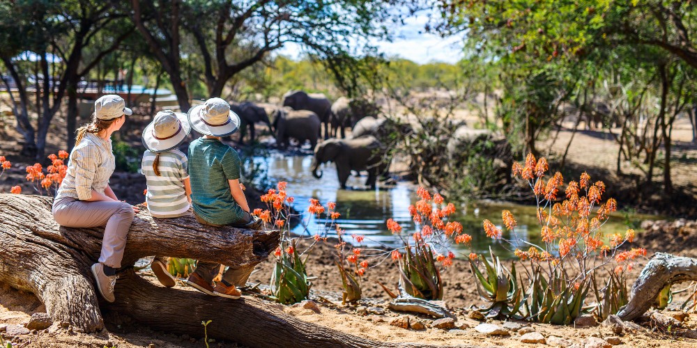 family-watching-elephants-at-waterhole-coral-tree-travel-holiday