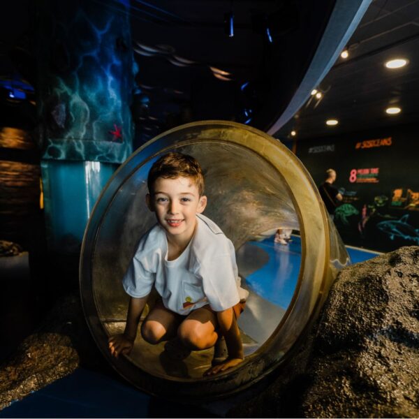 little-boy-barcelona-aquarium