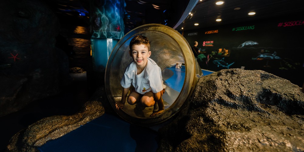 little-boy-tunnel-barcelona-aquarium