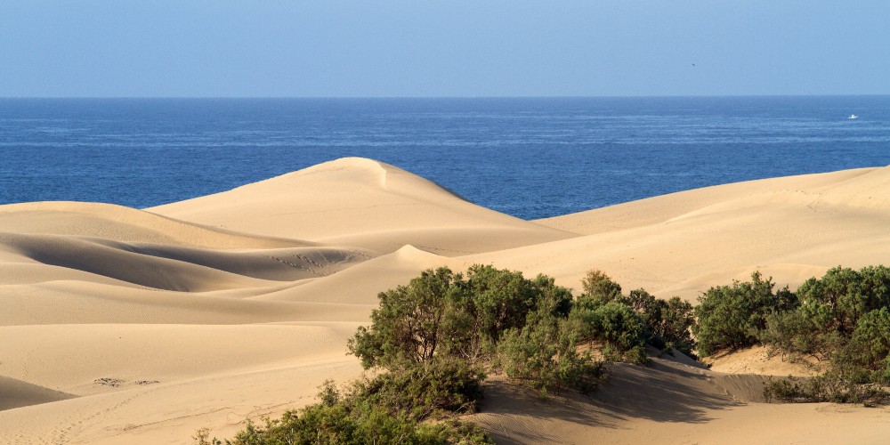 maspalomas-dunes-gran-canaria-canary-islands-2023