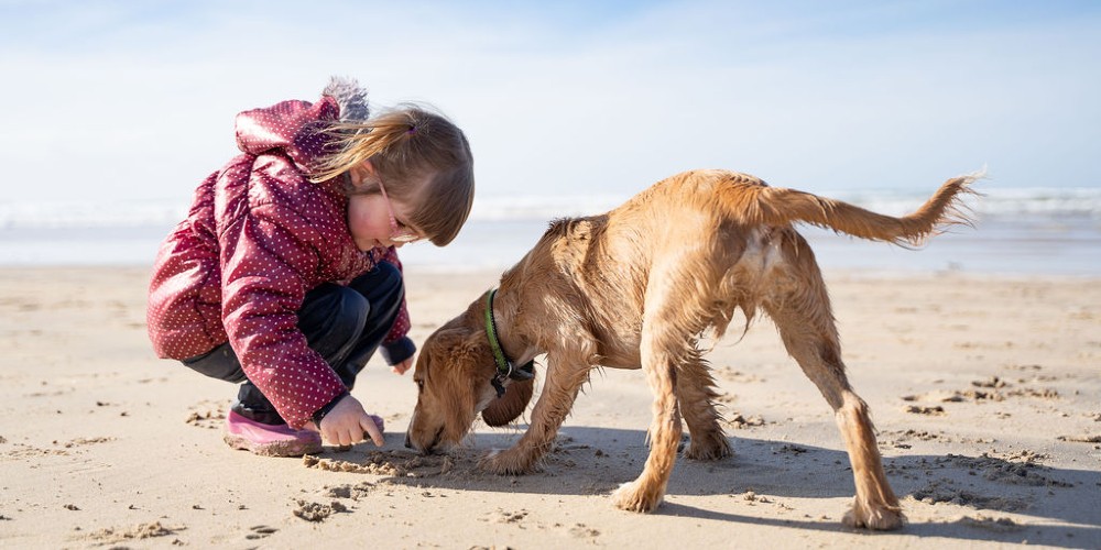 beach-child-with-dog-the-park-cornwall