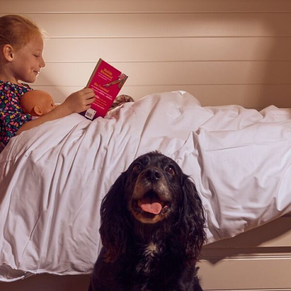 child-dog-bunk-bed-the-retreat-at-elcot-park