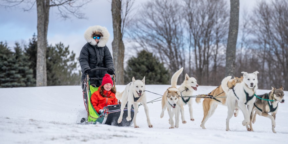 dog-sledding-upper-peninsula-michigan-winter