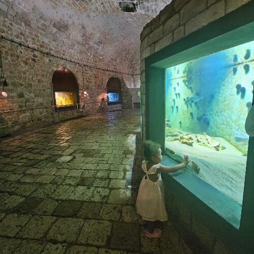 child-at-aquarium
