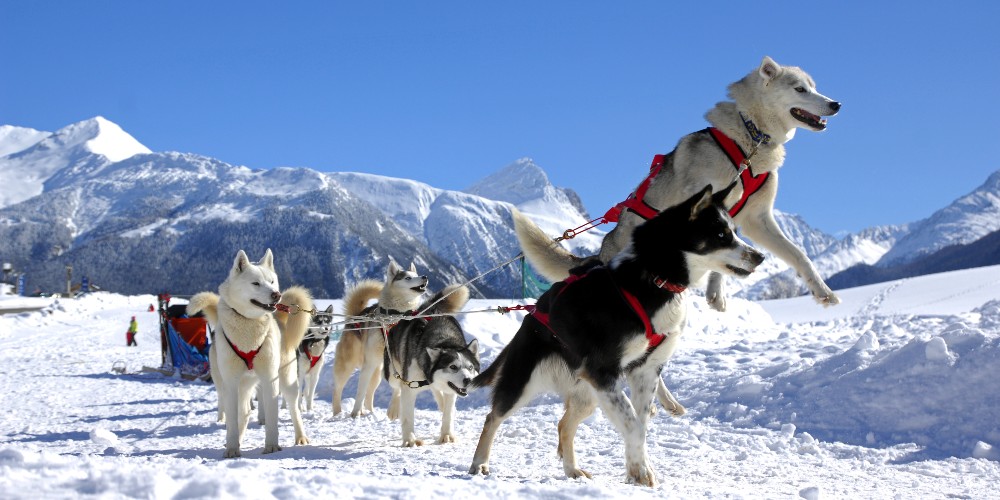 dog-sledding-family-ski-holidays-2024-val-cenis-credit-joseph-jeanmart
