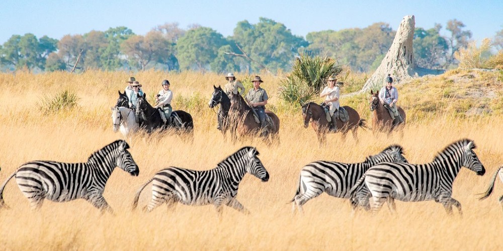 ride-botswana-okavango-delta-safari