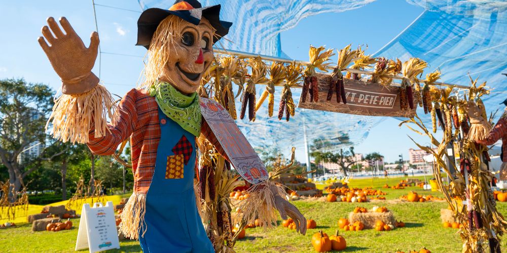 scarecrow-pumpkin-patch-st-pete-pier