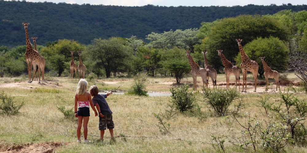 South-Africa-Safari-Bushbaby-Travel