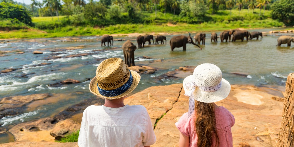 Sri-lanka-elephant-orphanage-worldwide-adventures-for-families