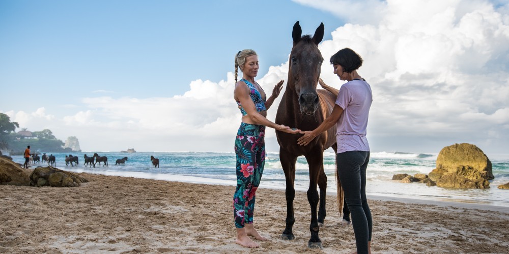 horses-on-beach