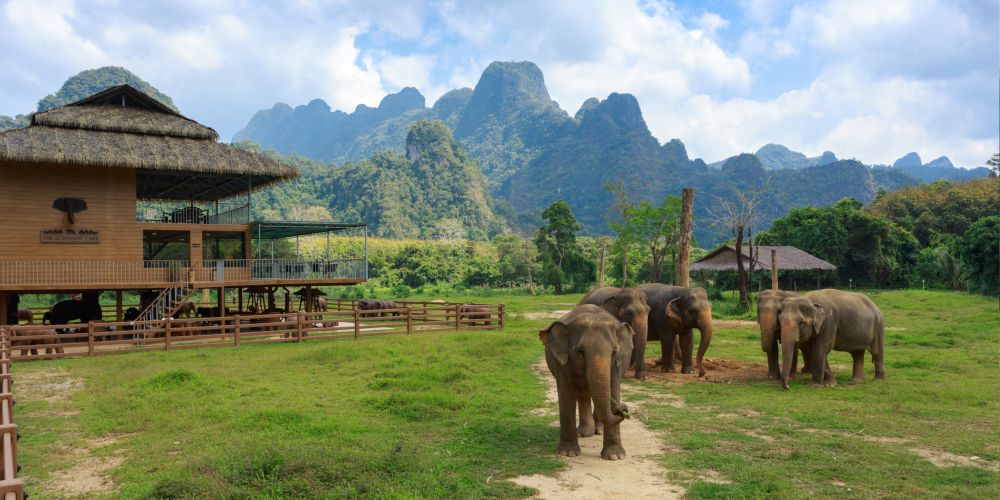 elephant-hills-camp-khao-sok-national-park-thailand
