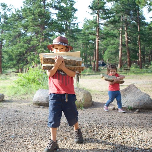 kids-collecting-firewood-colorado