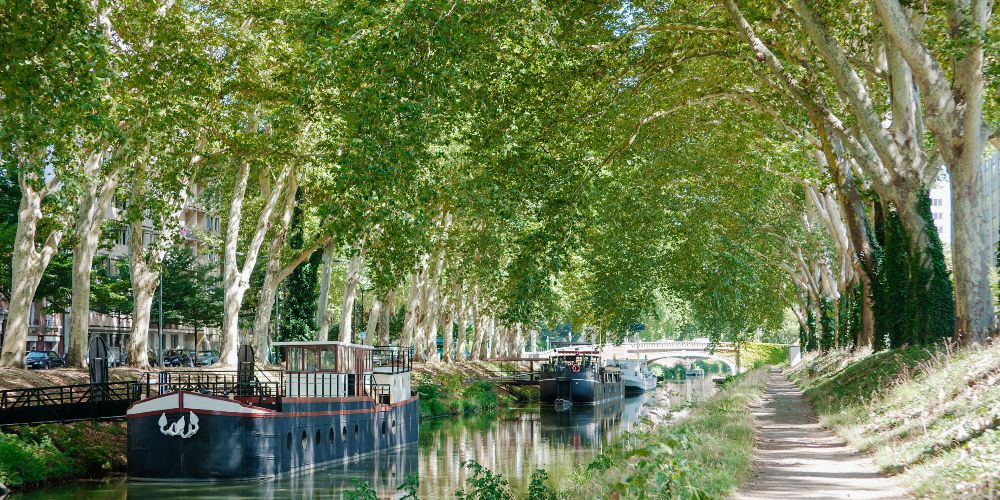 canal-du-midi-toulouse-summer