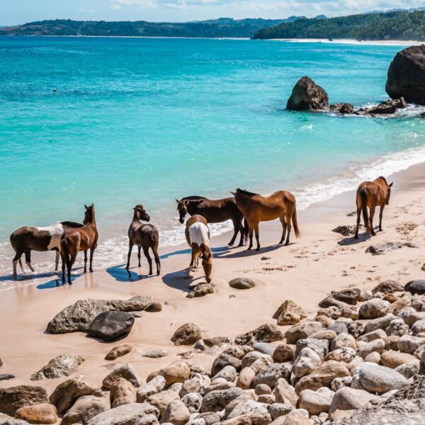 NIHI Sumba is Indonesia’s natural adventure island and an extraordinary family destination