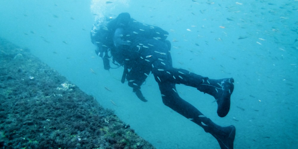 diving-panama-city-beach